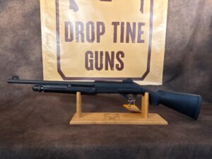 Benelli Pump, photo 3 of 4