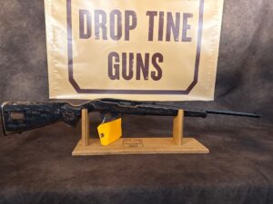 Ruger 10/22, photo 1 of 6