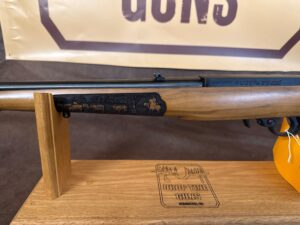 Ruger 10/22, photo 5 of 6