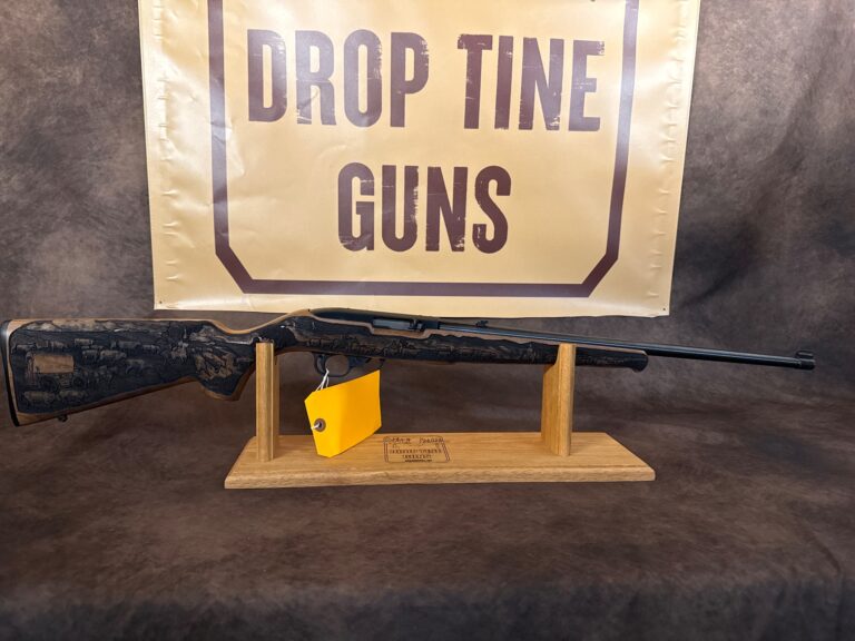 Ruger 10/22 for sale at Drop Tine Guns, Staunton VA